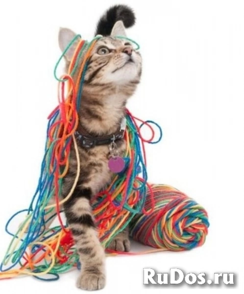 Оператор линии на производство фото