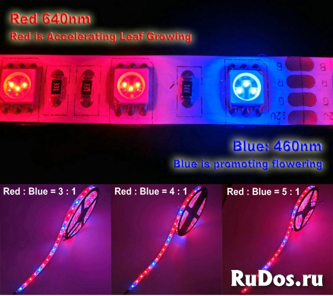 Фитолента LED для растений фото