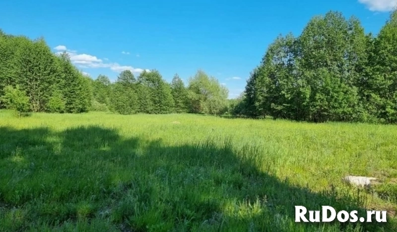 Участок 10 сот в Муракино изображение 5