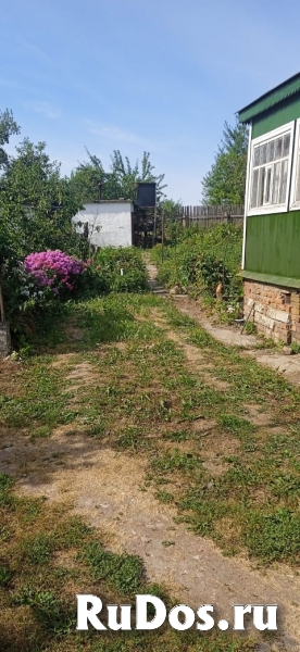 Дача во Владимире СНТ Ветеран рядом с рекой Содышка изображение 3