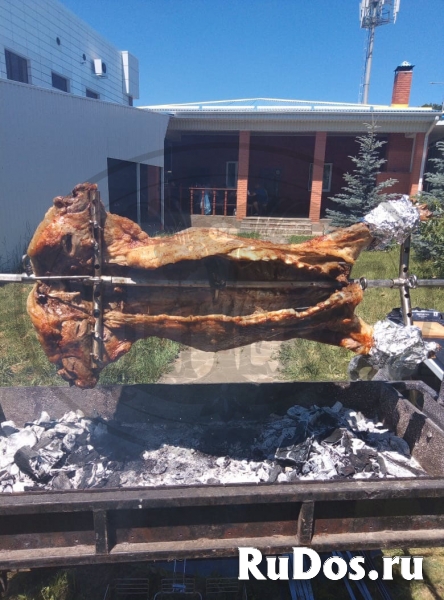 Вертел электрический на мангал ООО ВЕРТЕЛЪ - Производитель изображение 5