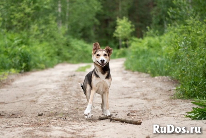 Ума — девочка, которая ждёт именно своего человека изображение 6