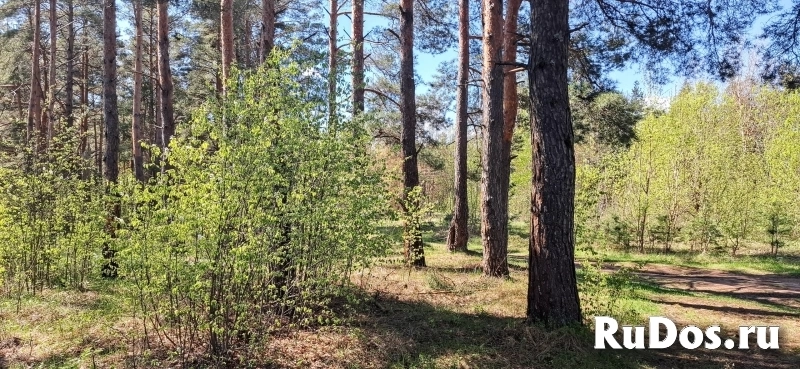 Коммерческая земля с красивым видом в пригороде фотка