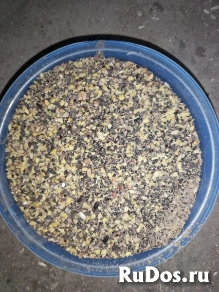 Отходы чечевицы кормовые в биг-бегах изображение 10