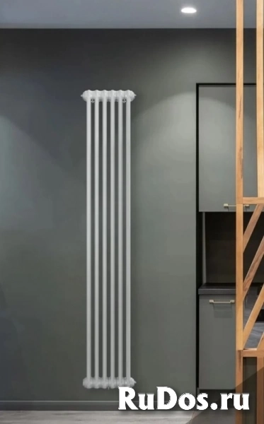 Радиатор ARBONIA 2180/6 №12 полнопроходной 1/2", цвет белый глянец (RAL-9016) фото