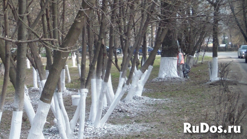 Уборка участков Обслуживание территорий изображение 5