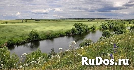 Инвестпроект - Земля в лесу у реки Дон под комплексную застройку фотка