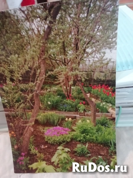 Продажа сада 6 соток, Зеленая, снт "Вишенка"  изображение 3