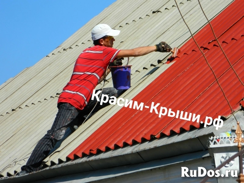 Покраска крыши дома в Апрелевке изображение 5