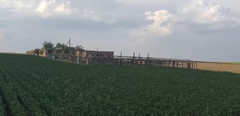 Продается производственная база, 2.5 га изображение 8