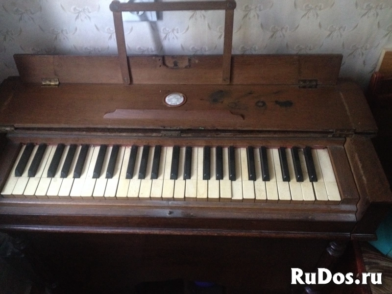 Фисгармонь изображение 3