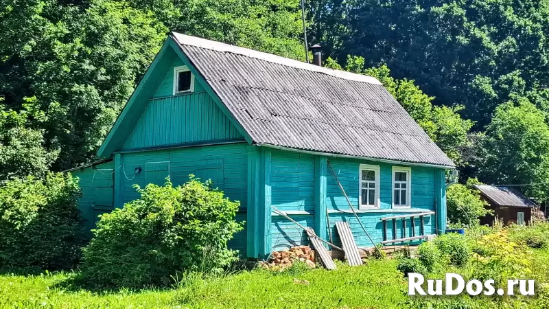 Домик с баней на очень уютном хуторе в лесном массиве изображение 4