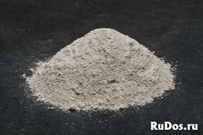 , купить растения фото