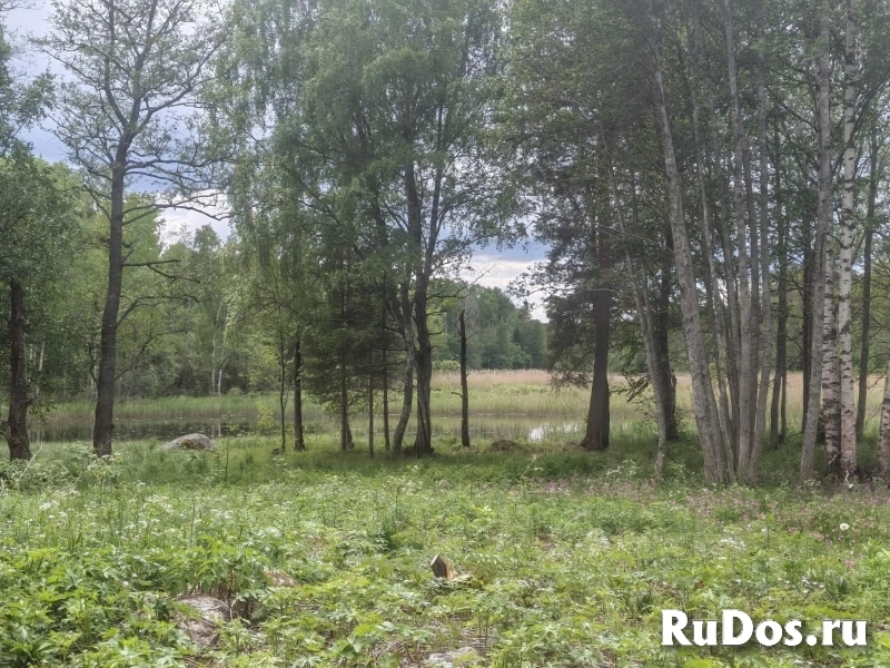 Продам участок 15 сот. изображение 6