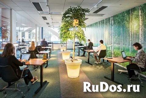 Хранитель бумаг фото