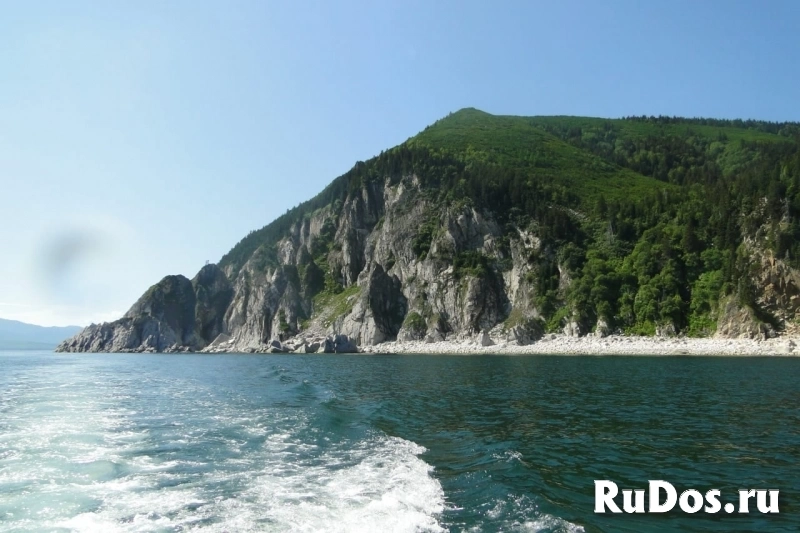 Навстречу китам! Тур по акватории Охотского моря. изображение 4