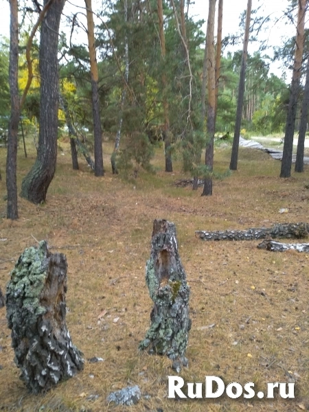 Земельный участок д.Лаптева изображение 3