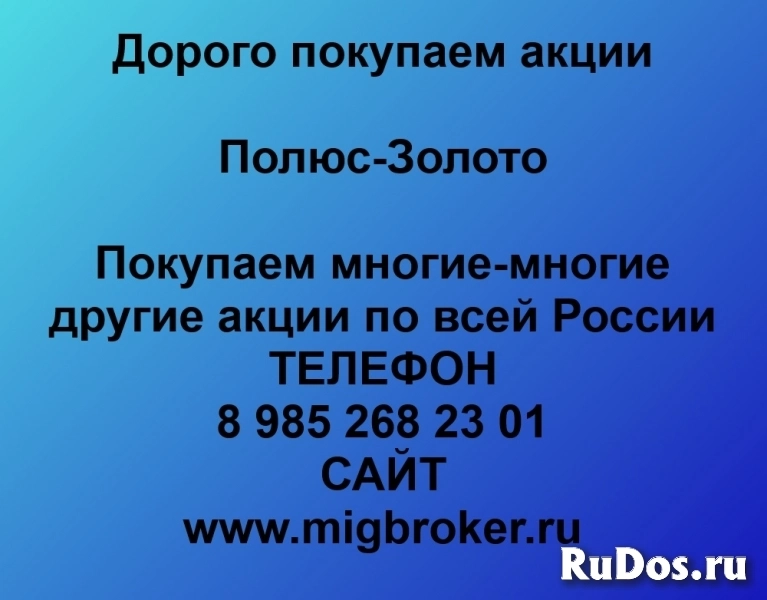 Покупаем акции Полюс Золото Продать акции по лучшей цене фото
