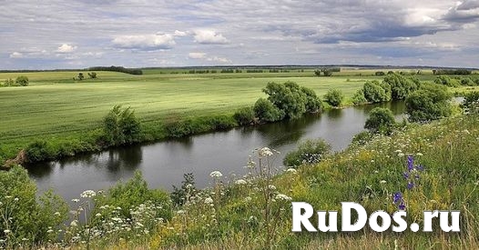 Земля в лесу у реки Дон под коттедхную застройку и базу отдыха изображение 7