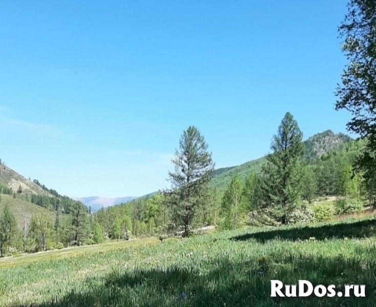 Участок под горнолыжку в горах Алтая с пантолечением фотка