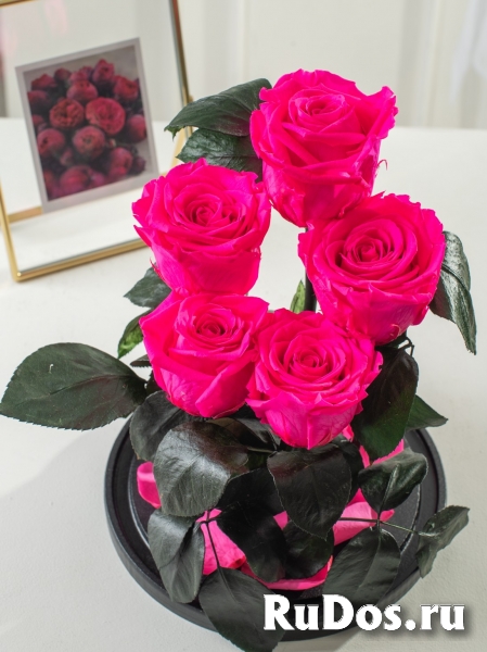 Роза в колбе оптом изображение 9