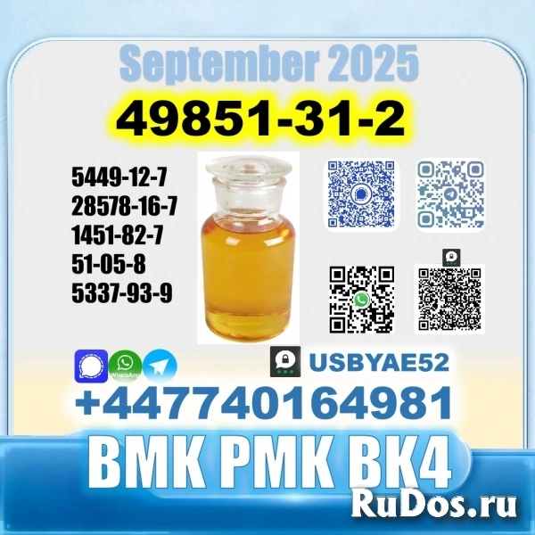 49851-31-2 bvf bmk pmk bk4 2b4m premium factory safe delivery изображение 3