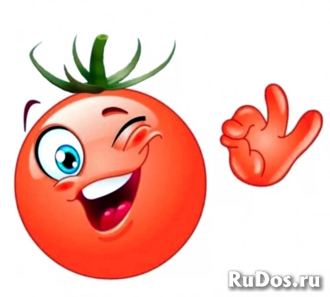 Овощеводы / Сборщики урожая в теплицу фото