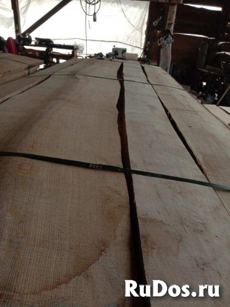 Дуб, ясень, карагач, акация, доска, брус оптом. изображение 4