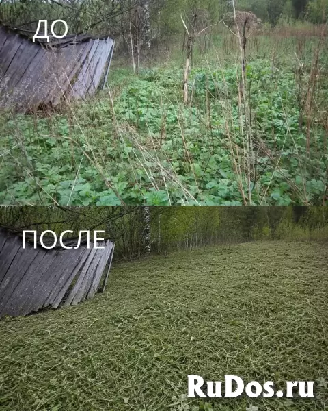 Покос травы триммером фотка