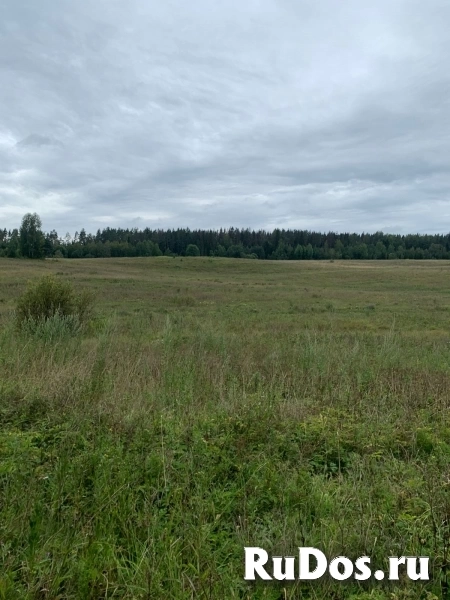 Продаю землю 1,96 га под ИЖС рядом с г. Выборг изображение 4