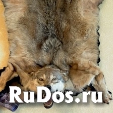 , частное объявление фотка