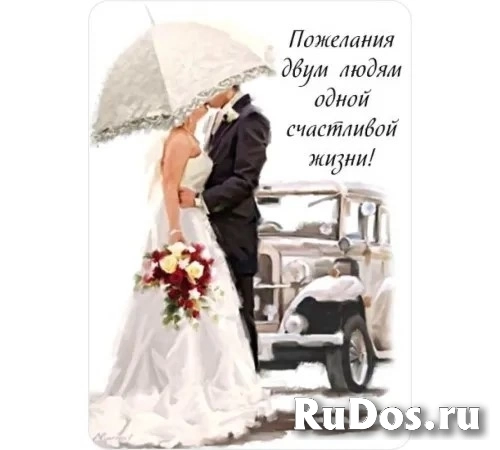 Флористическая упаковка от производителя изображение 11