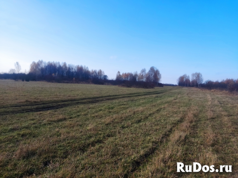 Земельный участок 2га под фермерское хозяйство. изображение 5