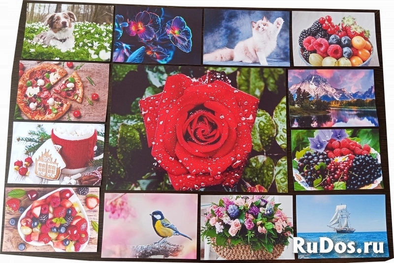 Распечатка фотографий и документов фотка