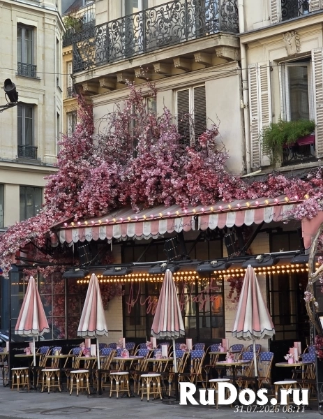 Предлагаю услуги по доставке документов Париж - Минск - Париж изображение 3