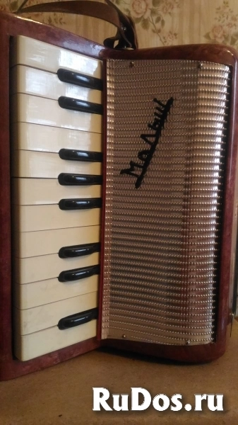 Детский аккордеон фото