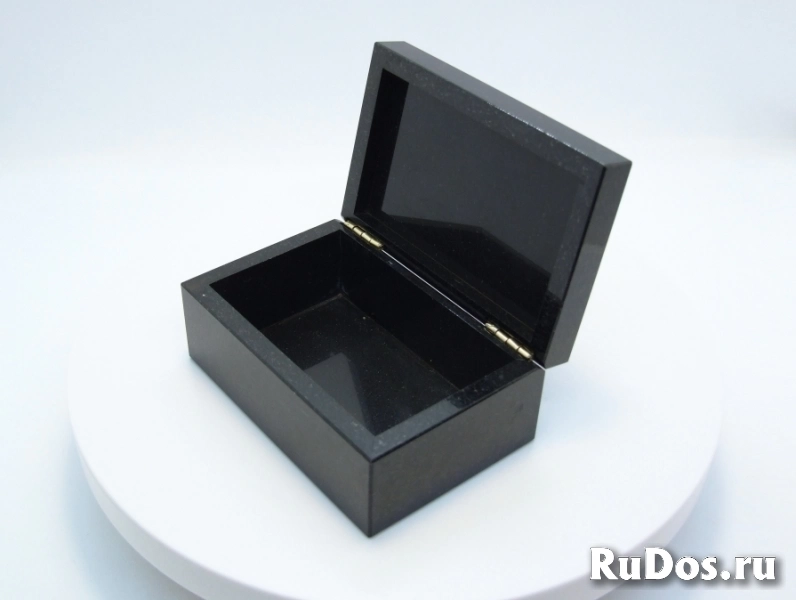 Динозавр - Коллекционная Шкатулка из окаменевшей кости - камня Динобон изображение 9