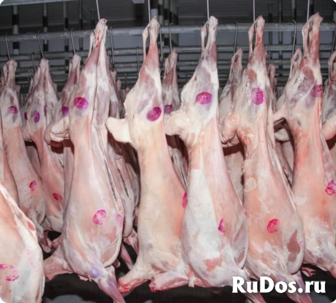 Баранина оптом изображение 5