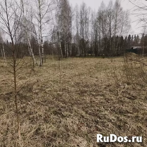 Продам земельный участок изображение 4