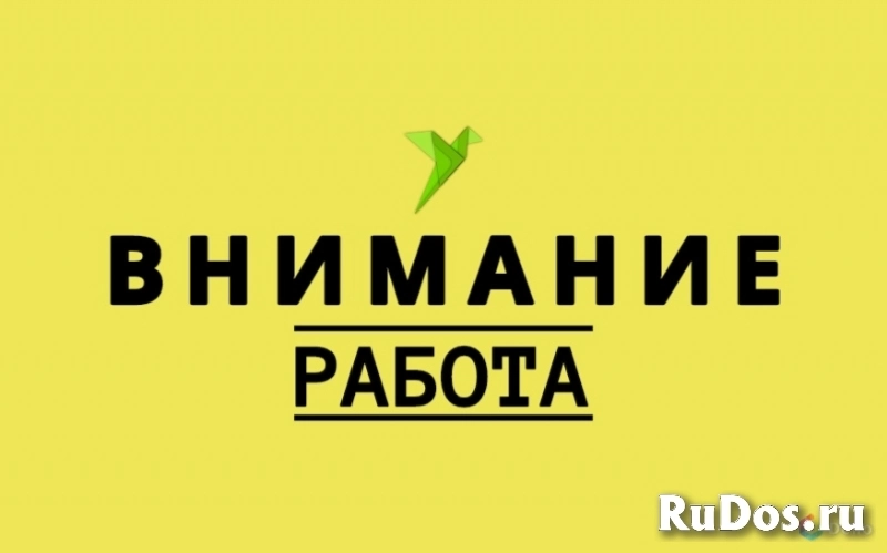 Сотрудник в торговую сеть фото