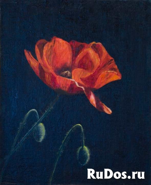 Научиться рисовать ? Легко! изображение 6