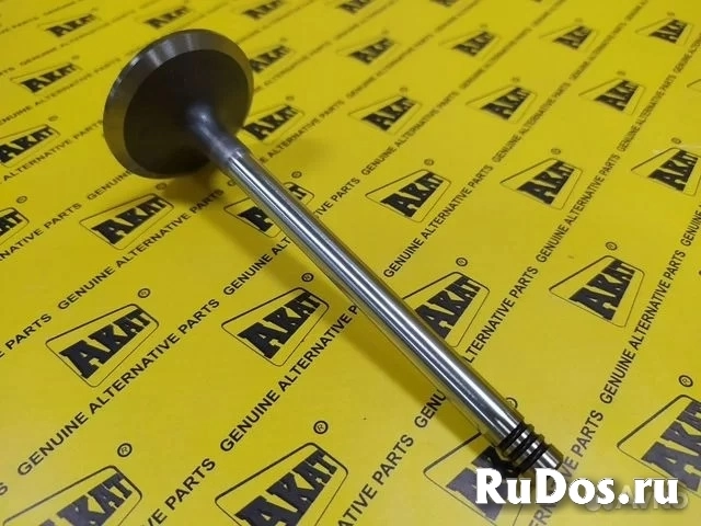 Клапан впускной  Volvo VOE21896344 фото