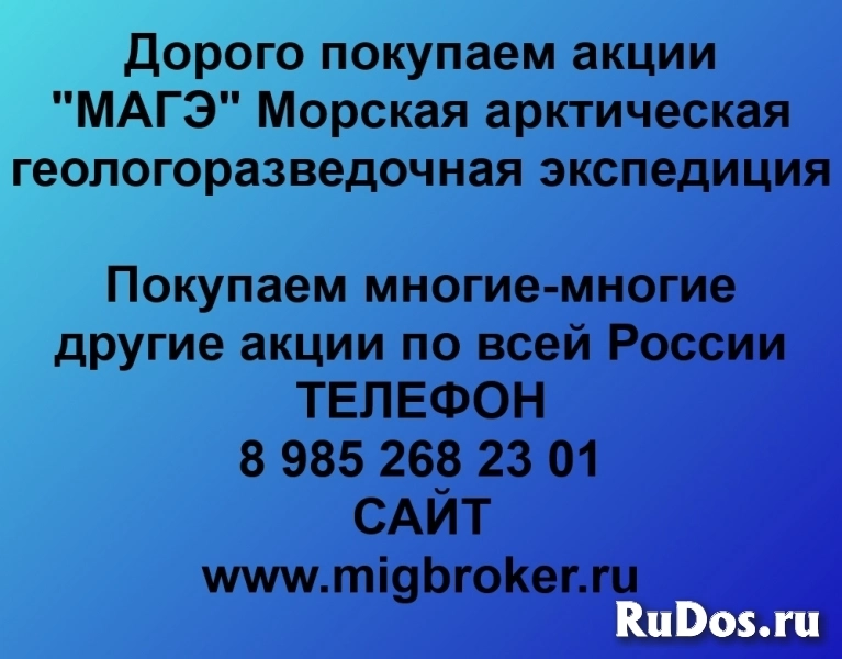 Покупка акций «МАГЭ Морская арктическая геологоразведочная экспедиция» фото