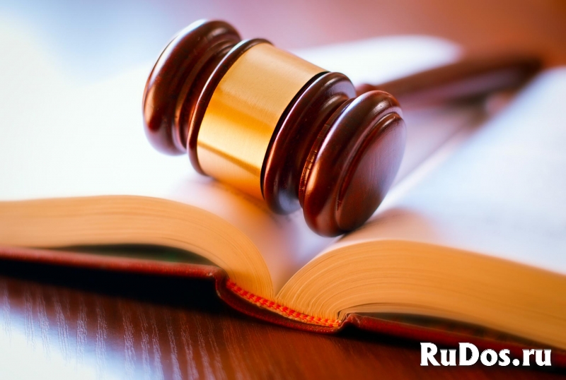 Гражданская дееспособность фото