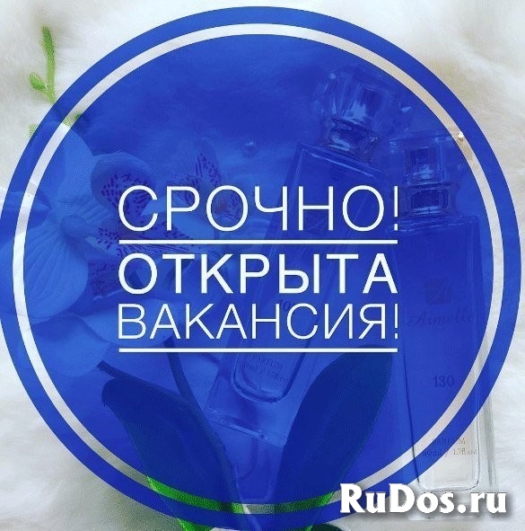 Админиcтpатор интернeт-проeктa фото