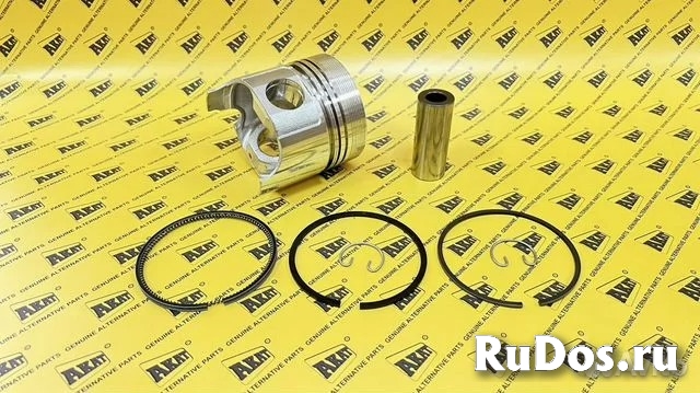 Поршень в сборе STD PN-36100 изображение 4