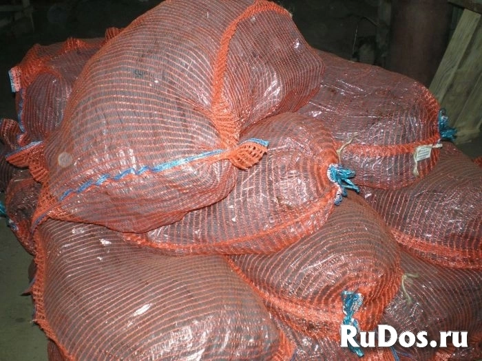 Каболка канализационная фотка