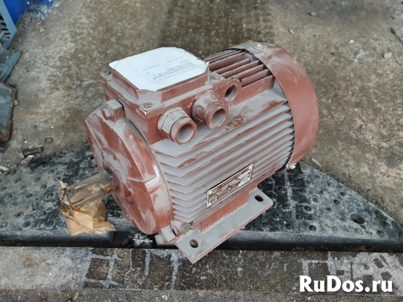 электродвигатель 4.0 кВт 2880 об/мин RIMEX112M2(Швейцaрия) фото