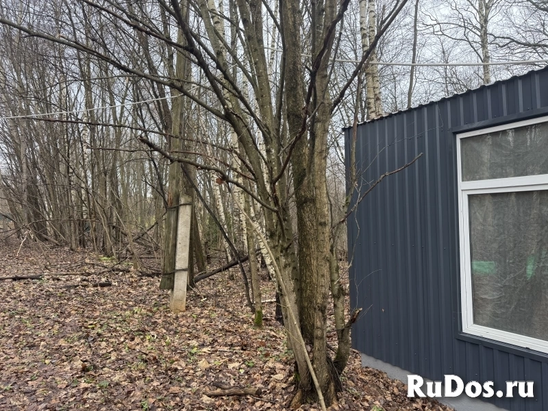 Прилесной участок с потрясающей природой изображение 7