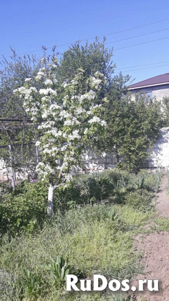 Дом 57 м2 с участком в Крыму в центре Керчи возле моря изображение 9